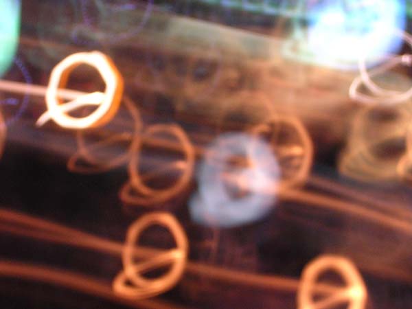 DSCN0241