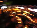 DSCN0240